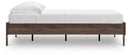 Calverson Youth Bed