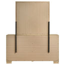 Arielle Dresser with Mirror