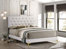 Kendall Upholstered Panel Bed