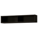 Lewes Entertainment Center