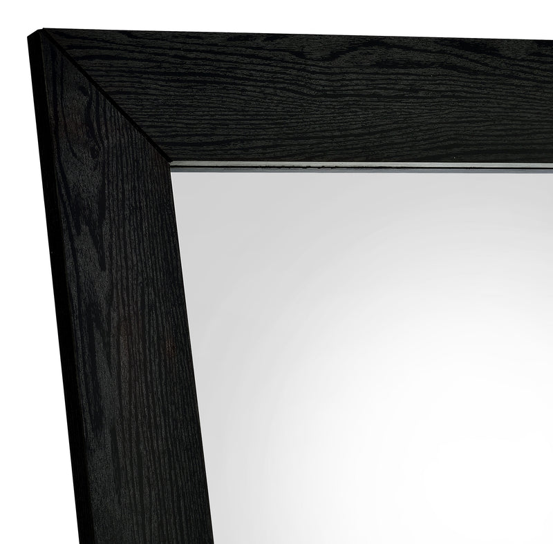Cadence Standing Mirrors - Town Of Bargains Furniture - NY