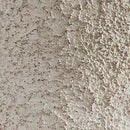 Chadrich Table Lamp (Set of 2)