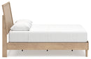 Cielden Bed - Town Of Bargains Furniture - NY