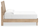 Cielden Bed - Town Of Bargains Furniture - NY