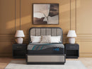 Millennium 2.0 Hybrid 16 Inch Mattress - Town Of Bargains Furniture - NY
