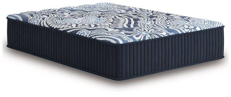 Firm Luxe 2.0 Mattress - Town Of Bargains Furniture - NY