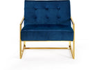 Pierre Navy Velvet Accent Chair - Town Of Bargains Furniture - NY