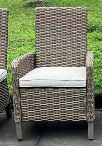 Laguna Heights Arm Chair with Cushion (Set of 2) - Town Of Bargains Furniture - NY