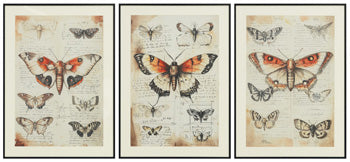 Jossletts Wall Art (Set of 3) - Town Of Bargains Furniture - NY